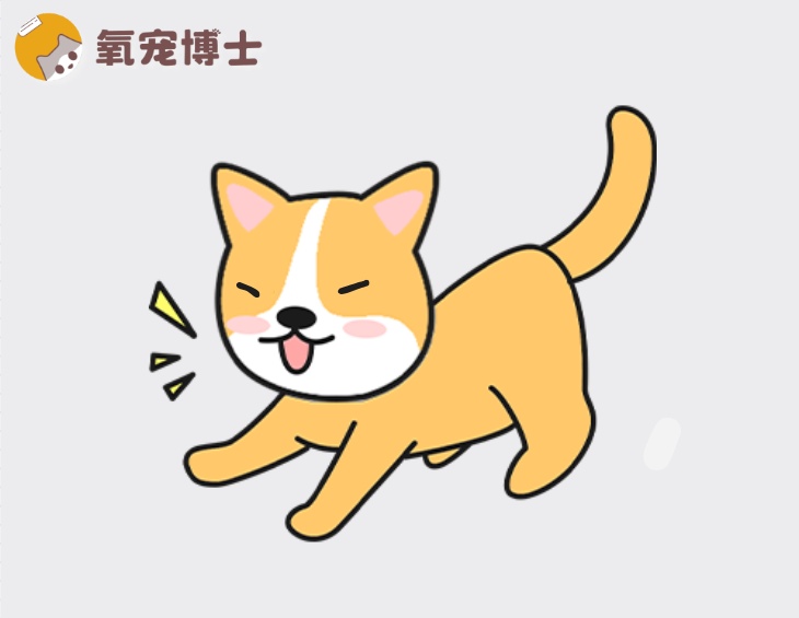 狗狗咳嗽像要吐?犬窝咳症状与应对方法 狗狗咳嗽像要吐?犬窝咳症状与应对方法