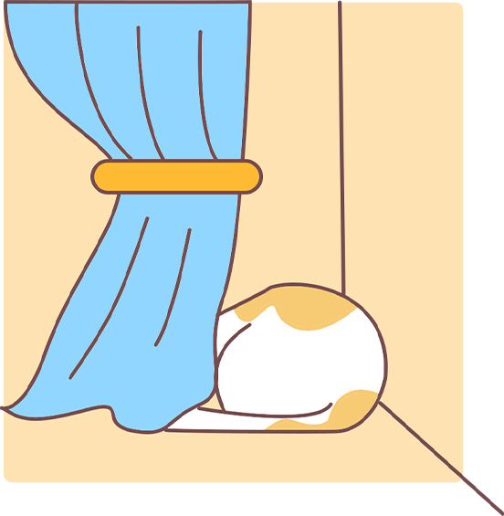 猫咪搬家应激反应处理方法 猫咪搬家应激反应处理方法