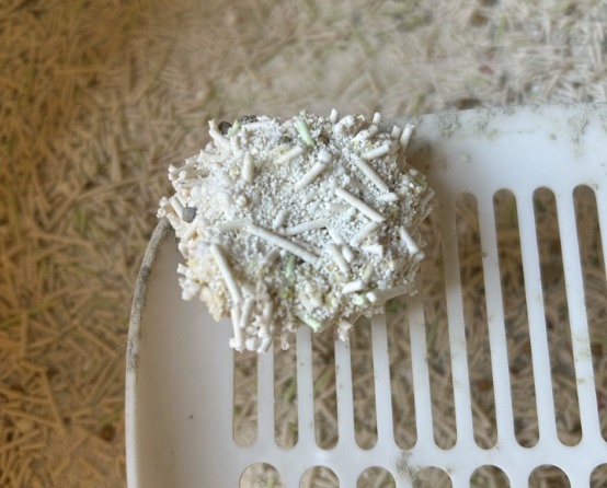 全是好评?宠小奇植物木薯混合猫砂真的好用吗? 全是好评?宠小奇植物木薯混合猫砂真的好用吗?