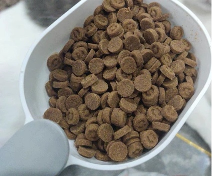 “大户人家”来看!东边烘焙鲜肉猫粮评测 “大户人家”来看!东边烘焙鲜肉猫粮评测