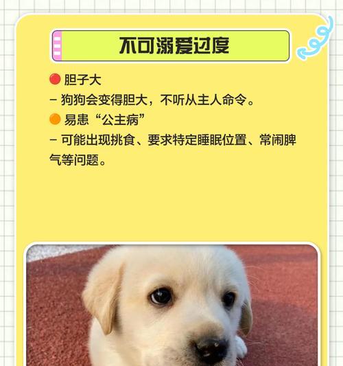 拉布拉多价格下降,养她的人却不增加(探究拉布拉多市场供需的变化与人们购买行为的影响) 拉布拉多价格下降,养她的人却不增加(探究拉布拉多市场供需的变化与人们购买行为的影响)