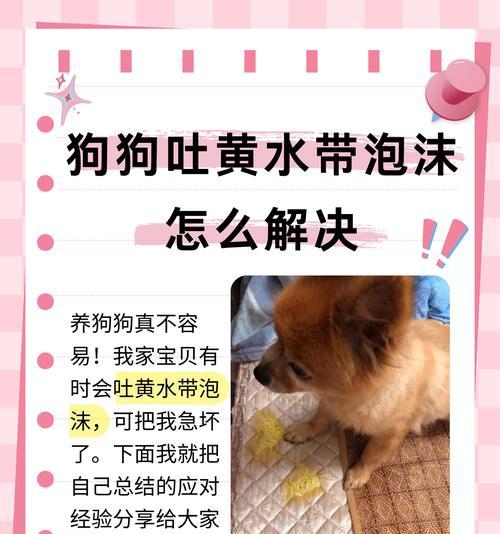 狗吐黄水应该吃什么药?(肠胃问题可能引起狗吐黄水,但需要咨询兽医确认) 狗吐黄水应该吃什么药?(肠胃问题可能引起狗吐黄水,但需要咨询兽医确认)