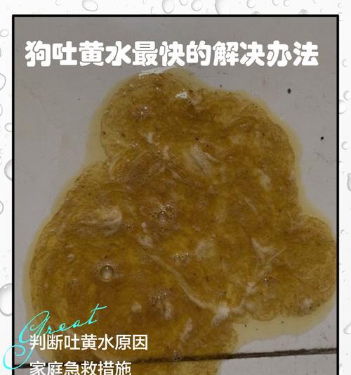 狗吐黄水应该吃什么药?(肠胃问题可能引起狗吐黄水,但需要咨询兽医确认) 狗吐黄水应该吃什么药?(肠胃问题可能引起狗吐黄水,但需要咨询兽医确认)