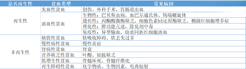 犬猫贫血症状识别与治疗方案｜宠物健康指南