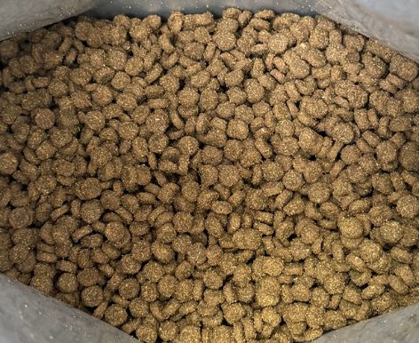 轻烘焙猫粮测评：高肉含量深海鱼配方营养与美毛效果分析