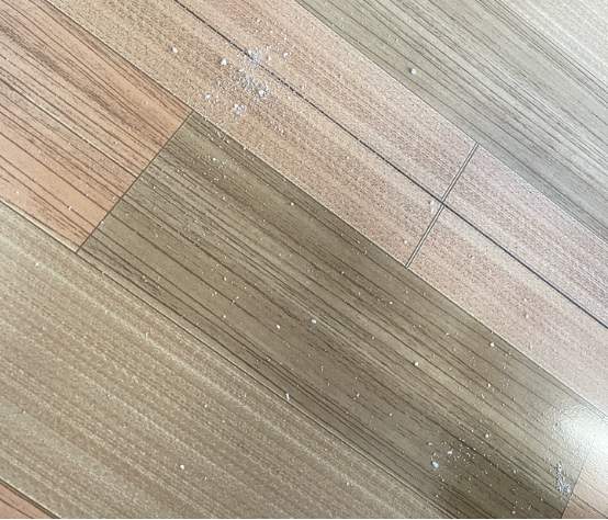 木薯猫砂测评：结团优秀但粉尘较重值得买吗｜选购指南