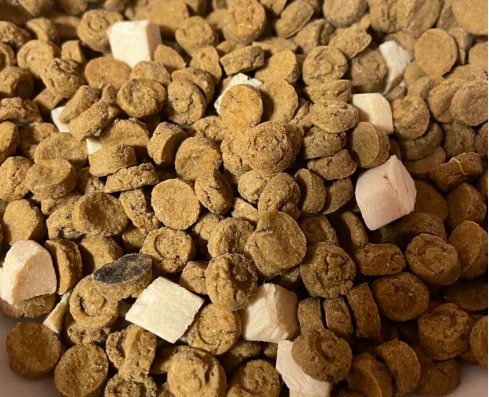 无谷烘焙猫粮评测：高鲜肉低敏配方适口性佳但镁含量需注意｜选购指南