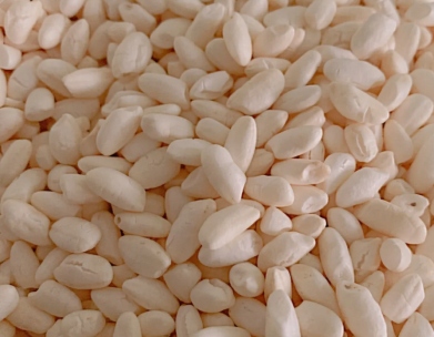 单一肉源猫粮评测：营养均衡配方与肠胃护理全攻略