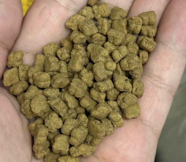 单一肉源猫粮评测：营养均衡配方与肠胃护理全攻略