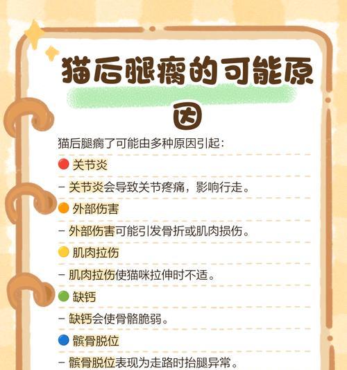 猫咪摔跤必翻身的秘密：天生反摔技能科学解析｜全攻略