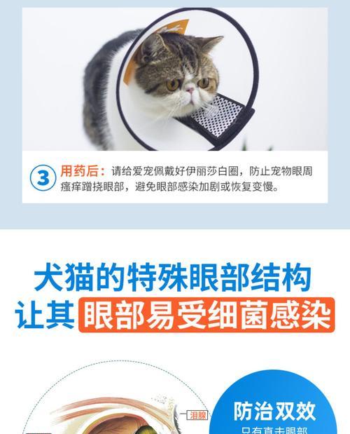 宠物眼药水保质期解析｜过期使用危害与正确保存指南