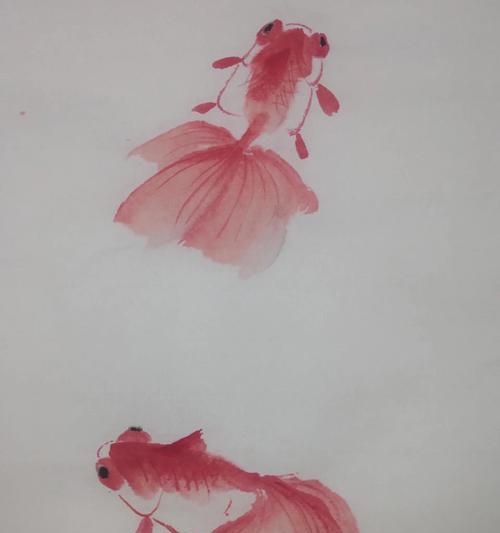 十大最美金鱼品种鉴赏：珍珠鳞蝶尾龙睛特色解析｜品种指南