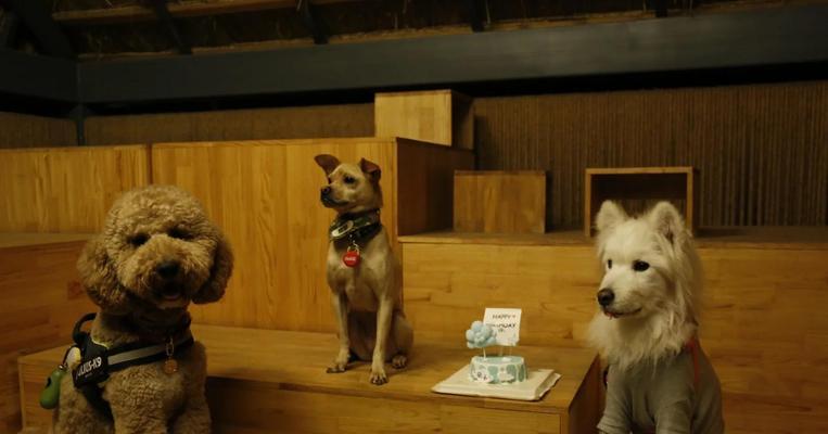 罗威纳犬与孩子相处的好处：培养责任感与增进亲情全指南