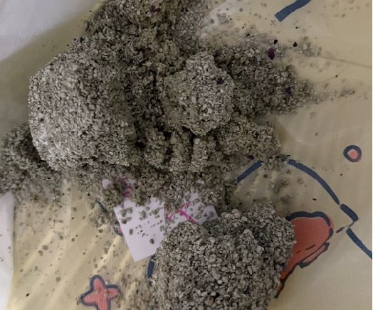 霍曼矿砂使用测评：结团快但不结实，除臭中等偏上表现