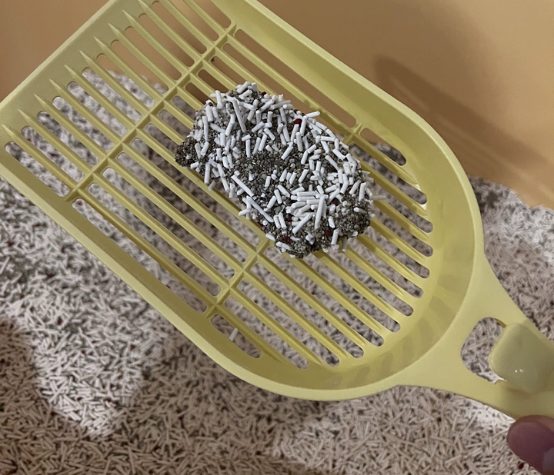 淘豆顽国红石榴猫砂真实评测：除臭效果出色但香味较重