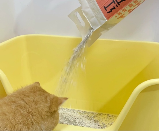淘豆顽国红石榴猫砂真实评测：除臭效果出色但香味较重