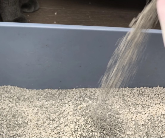 星宴荷鲁斯木薯矿砂混合猫砂测评：除臭结团表现出色的高性价比选择