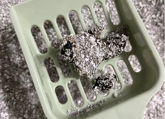 星宴荷鲁斯木薯矿砂混合猫砂测评：除臭结团表现出色的高性价比选择