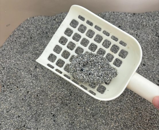 星宴荷鲁斯天然钠基矿砂全面测评，除臭结团性能表现如何？