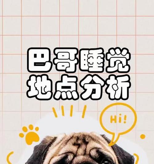 巴哥犬睡眠需求详解：每日12-14小时睡眠时长及影响因素分析