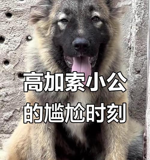 养护知识