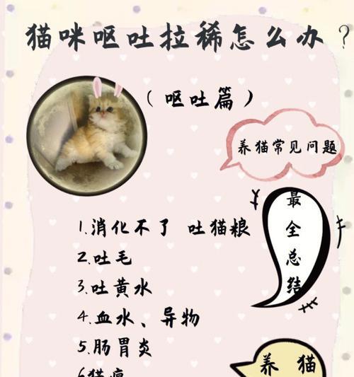 猫咪腹泻原因全解析：饮食肠胃问题及正确治疗方法