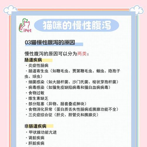 猫咪腹泻原因全解析：饮食肠胃问题及正确治疗方法