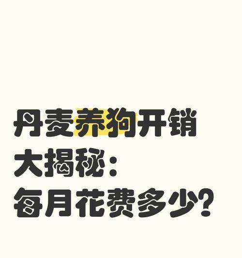 养狗费用详解：一只狗狗的年度开支预算指南