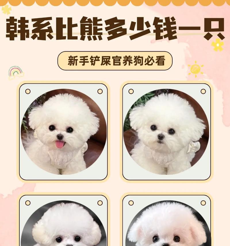 养狗费用详解：一只狗狗的年度开支预算指南