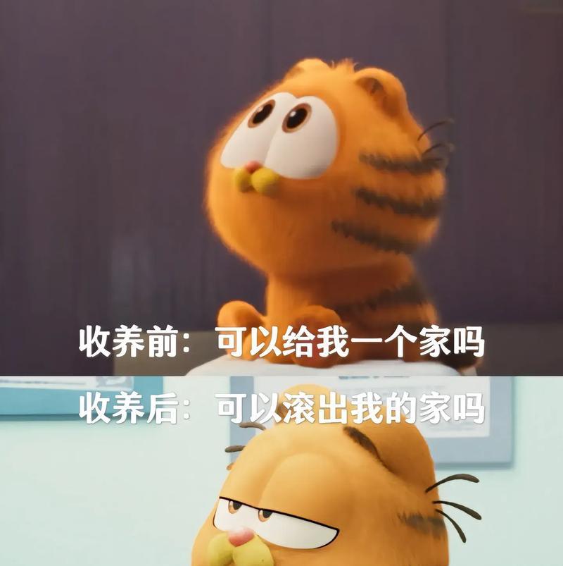 加菲猫的缺点与养护难题：深入了解养猫前必须知道的14个问题