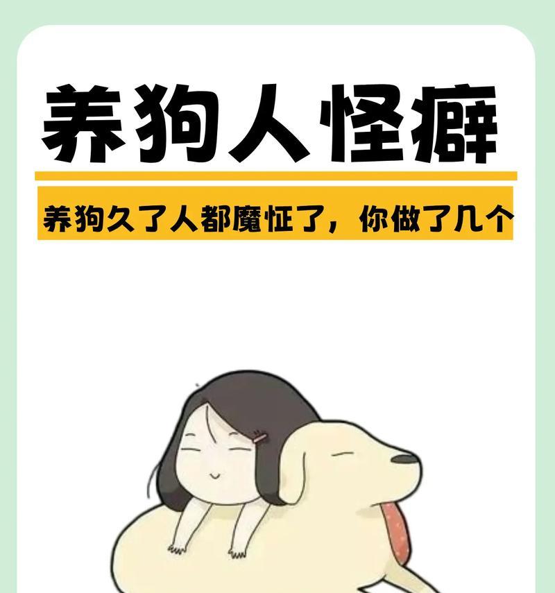 5种有效去除狗味的方法，让家中空气更清新