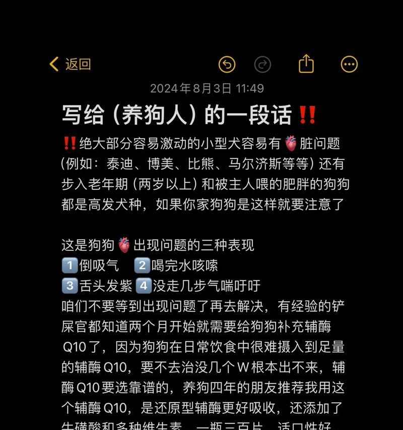 5种有效去除狗味的方法，让家中空气更清新