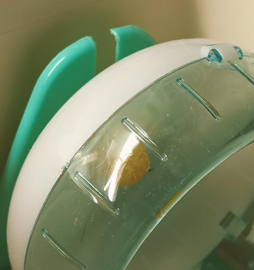 仓鼠跑轮使用时间指南：安全锻炼与健康养护全攻略