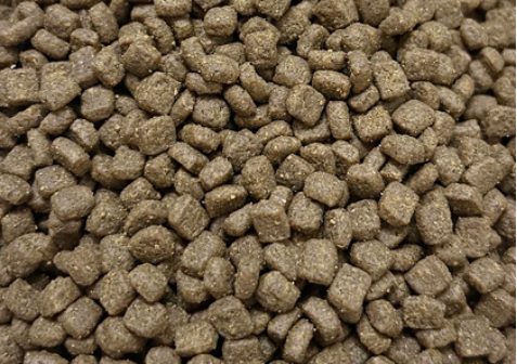 比乐乌鸡红参猫粮测评：中医养生概念真的适合猫吗？