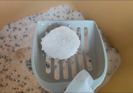 奥丁月落桂影木薯猫砂测评：优缺点都有，看完再决定买不买