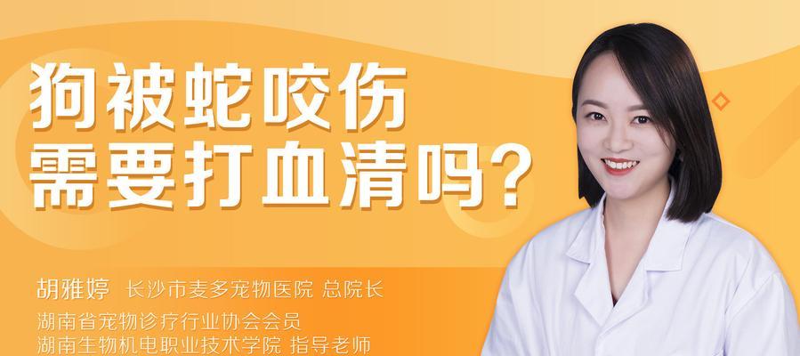 狗打完血清后能保持多久活泼状态影响因素全解析