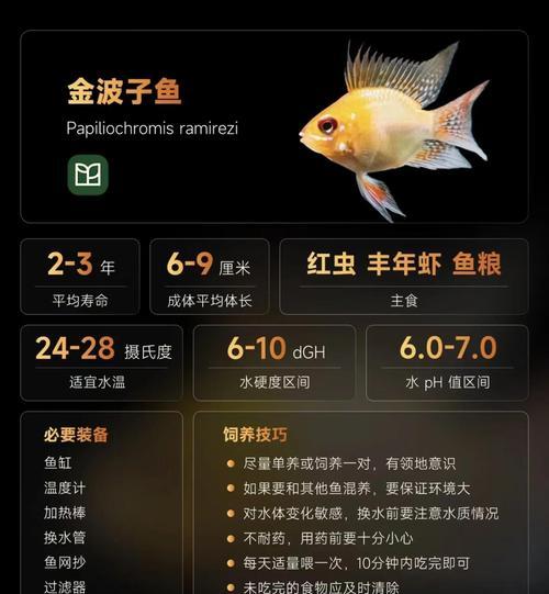 金鱼寿命有多长？影响金鱼寿命的关键因素及延长方法