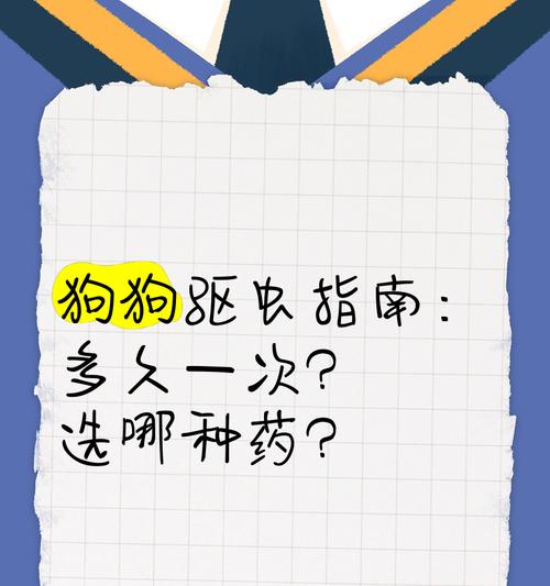 1岁半狗狗驱虫频率指南：预防寄生虫保障健康成长