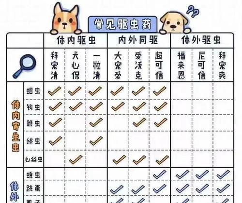 1岁半狗狗驱虫频率指南：预防寄生虫保障健康成长