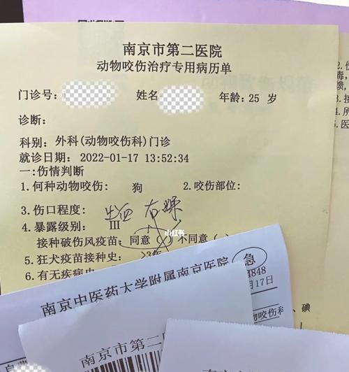 狗打完血清后能保持多久活泼状态影响因素全解析