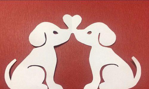 狗狗拉红色血便怎么办？治疗决策指南与护理建议