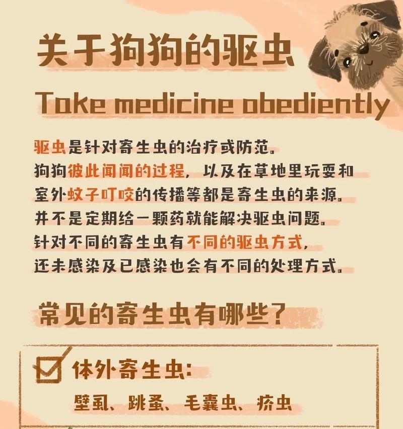 1岁半狗狗驱虫频率指南：预防寄生虫保障健康成长