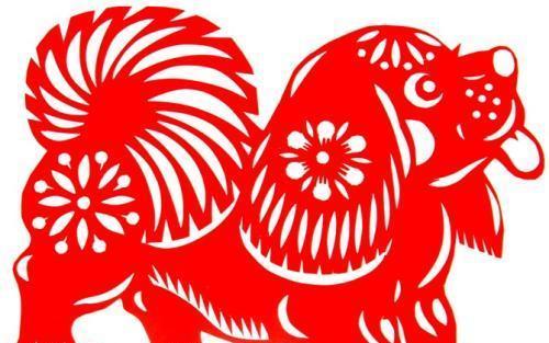 狗狗拉红色血便怎么办？治疗决策指南与护理建议