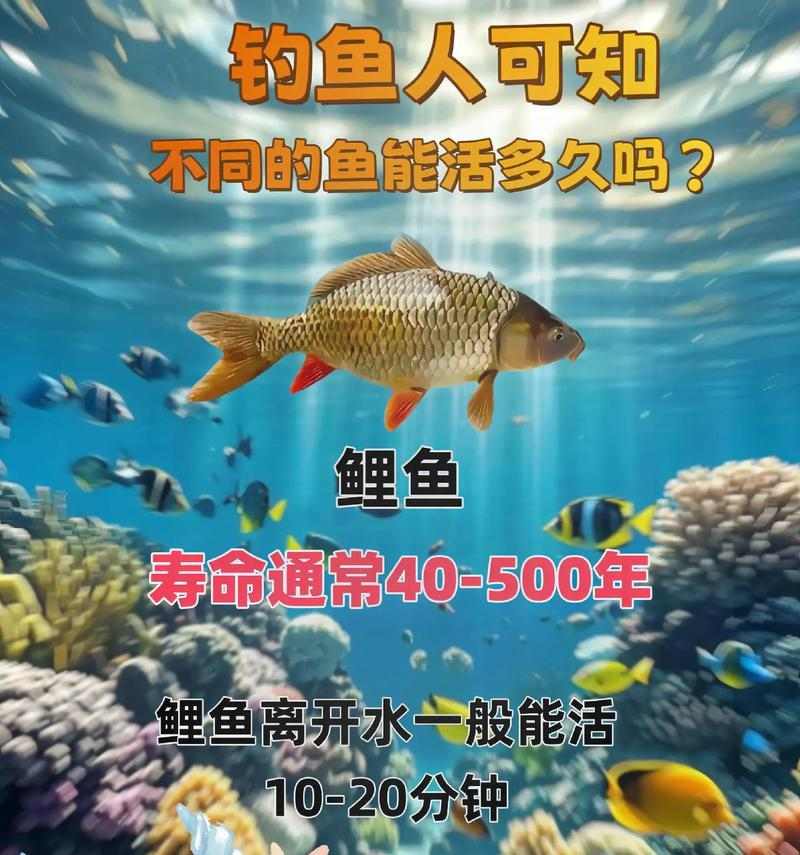 金鱼寿命有多长？影响金鱼寿命的关键因素及延长方法