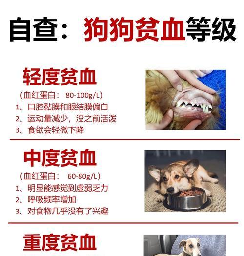 养护知识