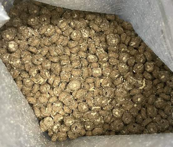 江小傲羊奶乳鸽猫粮测评:高蛋白营养与泌尿风险并存 江小傲羊奶乳鸽猫粮测评:高蛋白营养与泌尿风险并存