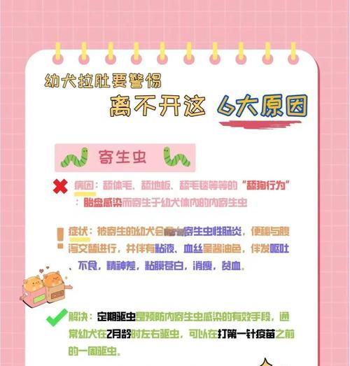 秋季拉布拉多犬腹泻怎么办 新手养狗必备处理指南