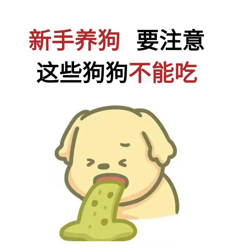 秋季拉布拉多犬腹泻怎么办 新手养狗必备处理指南