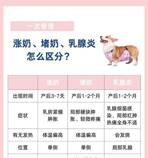 狗狗怀孕多久挤出奶 产后乳汁分泌时间与护理要点