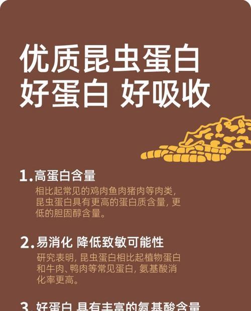 小泰迪多久开始吃狗粮?幼犬断奶转食全攻略 小泰迪多久开始吃狗粮?幼犬断奶转食全攻略